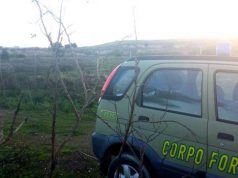 Pietre preistoriche in discarica, blitz della Forestale – VIDEO pietre-preistoriche-in-discarica-blitz-della-forestale-video