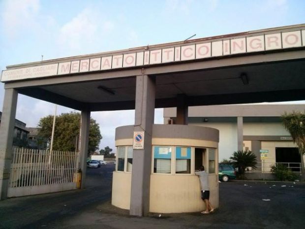 multe-e-sequestri-al-mercato-ittico-tensione-tra-finanzieri-e-commercianti-arriva-la-polizia