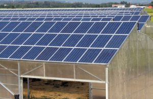 attentato-incendiario-a-narbolia-serre-fotovoltaiche-di-nuovo-nel-mirino-dei-piromani