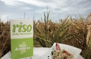 il-riso-oristanese-all-and-rsquo-expo-di-milano