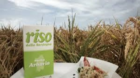 il-riso-oristanese-all-and-rsquo-expo-di-milano