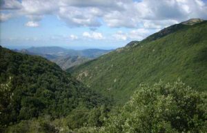 Cacciatore si perde nei boschi, notte all’aperto, ritrovato stamattina cacciatore-si-perde-nei-boschi-notte-all-and-rsquo-aperto-ritrovato-stamattina