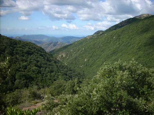 cacciatore-si-perde-nei-boschi-notte-all-and-rsquo-aperto-ritrovato-stamattina