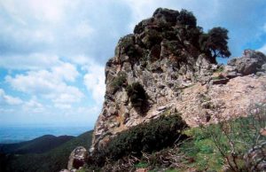 commerciante-va-e-cercare-funghi-e-scompare-si-cerca-sul-monte-arci