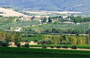 pace-solidariet-and-agrave-e-lavoro-gara-di-corsa-a-la-collina