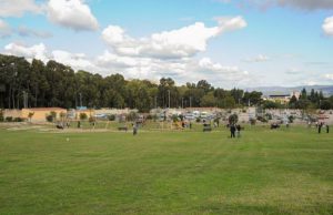 Provincia, fondi per Palazzo Regio, Monte Claro e sicurezza sulla Quartu-Villasimius provincia-fondi-per-palazzo-regio-monte-claro-e-sicurezza-sulla-quartu-villasimius