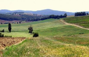 Opportunità per giovani imprenditori agricoli, ecco Rural trainer opportunit-and-agrave-per-giovani-imprenditori-agricoli-ecco-rural-trainer