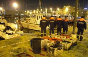 operazione-labyrinth-sequestrati-12-mila-ricci-e-5-quintali-di-prodotti-ittici-sotto-natale