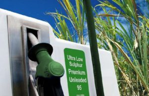 biofuel-nel-sulcis-udc-and-ldquo-grande-opportunit-and-agrave-and-rdquo