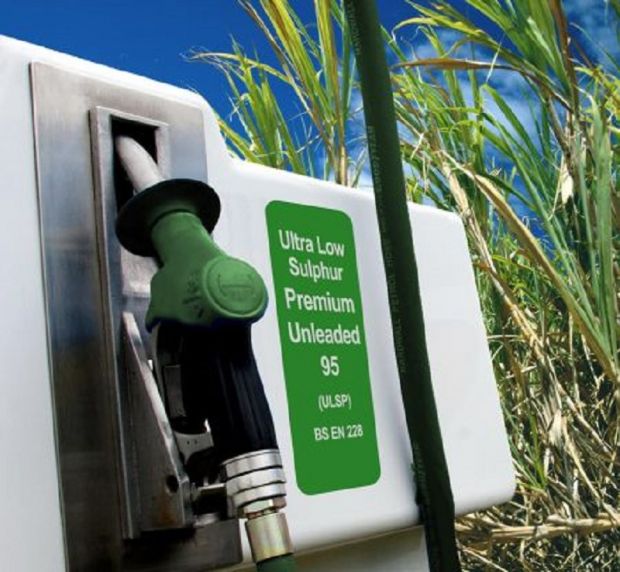 Biofuel nel Sulcis biofuel-nel-sulcis-udc-and-ldquo-grande-opportunit-and-agrave-and-rdquo