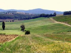 Imu agricola, esenti 216 comuni sardi imu-agricola-esenti-216-comuni-sardi