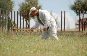 lsu-mura-and-ldquo-in-arrivo-8-milioni-di-euro-and-quot