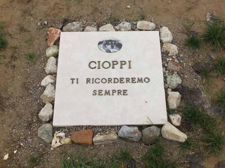 in-una-collina-di-selargius-il-cimitero-di-cani-e-gatti