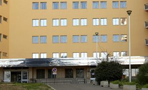 businco-55-trapianti-nel-2014