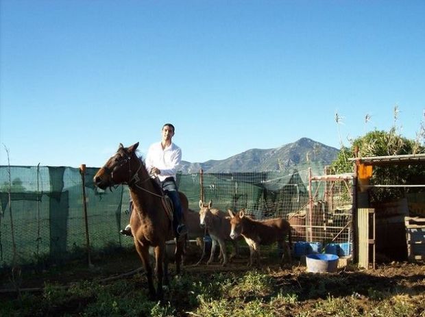 animali-massacrati-e-fattoria-distrutta-and-ldquo-e-ora-aiutiamo-gabriele-and-rdquo