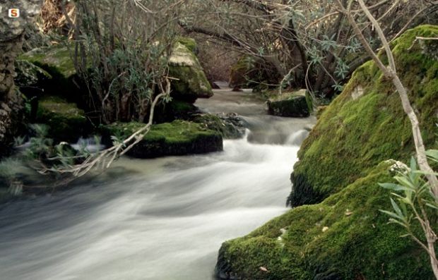 alluvione-la-provincia-autonoma-di-bolzano-finanzier-and-agrave-il-ripristino-di-su-gologone