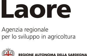 Comportamento antisindacale, condannata l’agenzia regionale Laore comportamento-antisindacale-condannata-l-and-rsquo-agenzia-regionale-laore