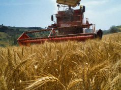 arbau-and-ldquo-in-arrivo-microcredito-per-le-imprese-agricole-and-rdquo