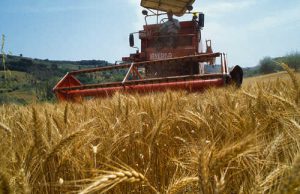 Arbau: “In arrivo microcredito per le imprese agricole” arbau-and-ldquo-in-arrivo-microcredito-per-le-imprese-agricole-and-rdquo