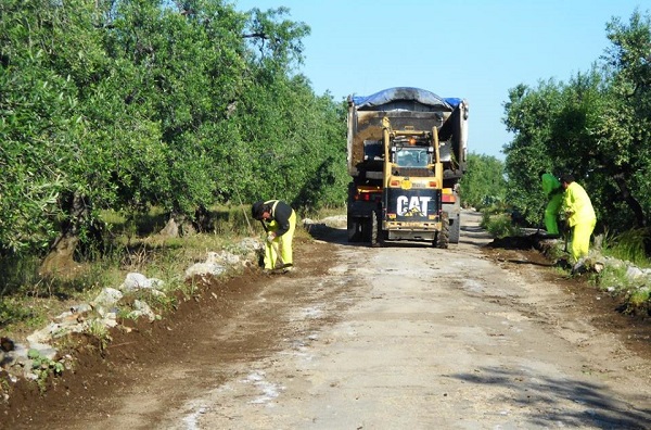 dopo-anni-di-attesa-via-ai-lavori-per-la-strada-rurale-a-intremontes-esulta-coldiretti