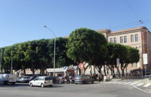 anziano-grave-dopo-caduta-off-limits-zona-alberata-di-piazza-garibaldi