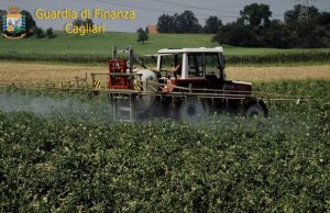 operazione-mela-stregata-sequestrate-16-tonnellate-di-pesticidi-fuori-legge