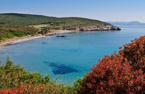 sant-and-rsquo-antioco-via-libera-per-albero-e-centro-termale-a-300-m-dalla-spiaggia