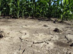 imu-agricola-e-crisi-delle-campagne-protesta-degli-agricoltori-davanti-al-prefetto