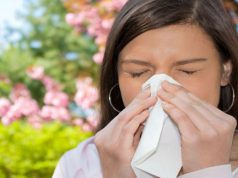 Rinite allergica, un sardo su 5 ne soffre. Sabato visite gratis rinite-allergica-un-sardo-su-5-ne-soffre-sabato-visite-gratis