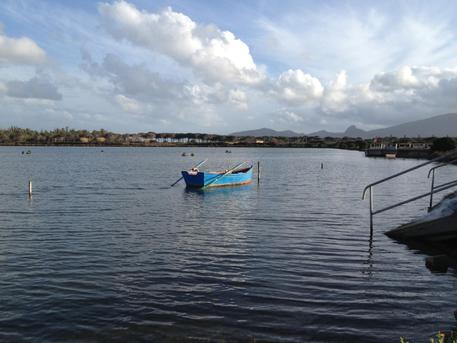 cabras-in-fiamme-l-and-rsquo-auto-del-pescatore-guardiano-dello-stagno