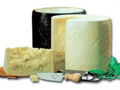 pecorino-corre-verso-i-10-euro-al-kg-allarme-coldiretti