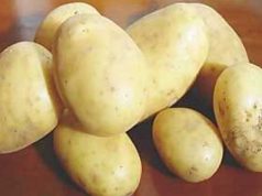 coldiretti-and-ldquo-tuteliamo-le-patate-di-montagna-sarde-and-rdquo