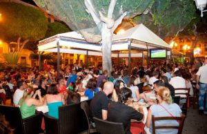 movida-bus-notturni-verso-il-poetto-per-studenti-e-turisti-il-comune-ci-riprova