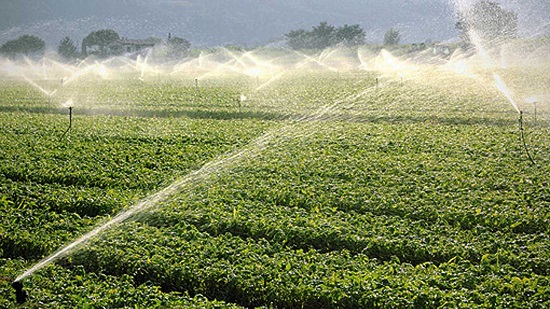 consorzio-bonifica-lavoratori-senza-stipendio-campagna-senz-and-rsquo-acqua-a-fasi-alterne