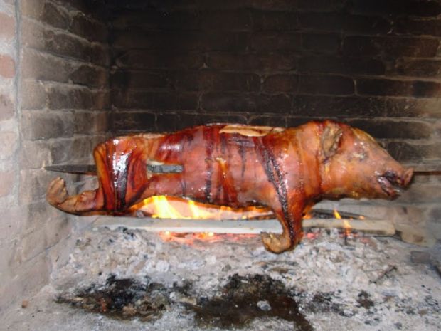 confagricoltura-and-ldquo-paradosso-all-and-rsquo-expo-no-porceddu-ma-s-and-igrave-alla-carne-di-coccodrillo-and-rdquo