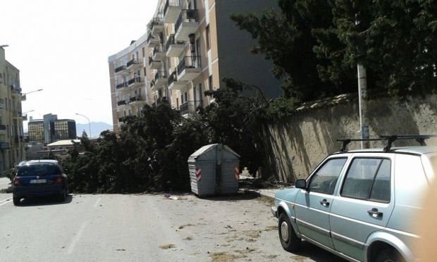 via-san-michele-crolla-cipresso-di-villa-carboni-traffico-in-tilt