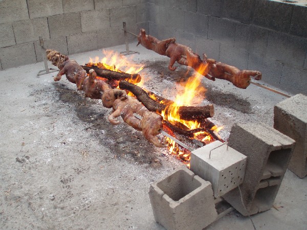 crisi-tempo-incerto-e-calendario-turisti-in-frenata-a-pasqua-bene-gli-agriturismi