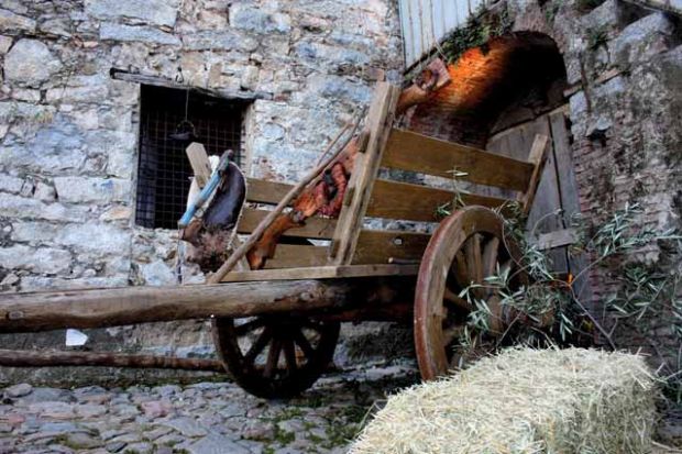 and-quot-primavera-marghine-ogliastra-e-baronia-and-quot