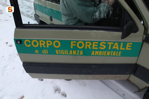 ente-foreste-il-29-sciopero-dei-precari-and-quot-incertezza-sul-futuro-and-quot