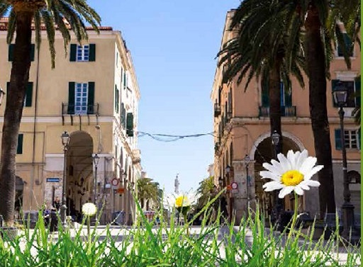 dal-1-maggio-torna-and-ldquo-centro-in-fiore-and-rdquo