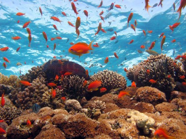 meridiana-nuovo-carnet-per-canarie-e-mar-rosso