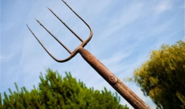 lite-tra-pastori-tenta-di-uccidere-il-fratello-con-un-forcone