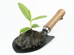 l-and-rsquo-invenzione-di-coldiretti-nasce-il-terriccio-and-ldquo-made-in-sardegna-and-rdquo-coi-materiali-di-scarto