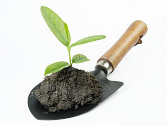 l-and-rsquo-invenzione-di-coldiretti-nasce-il-terriccio-and-ldquo-made-in-sardegna-and-rdquo-coi-materiali-di-scarto