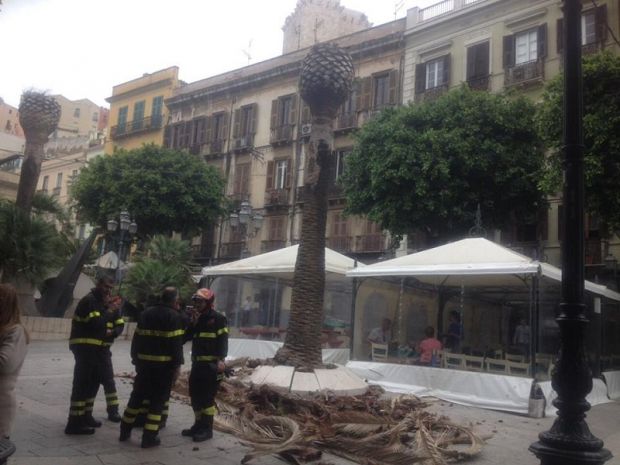 maltempo-paura-per-il-crollo-di-una-palma-in-piazza-yenne