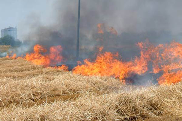 incendio-in-campagna-pensionato-ustionato-a-muravera
