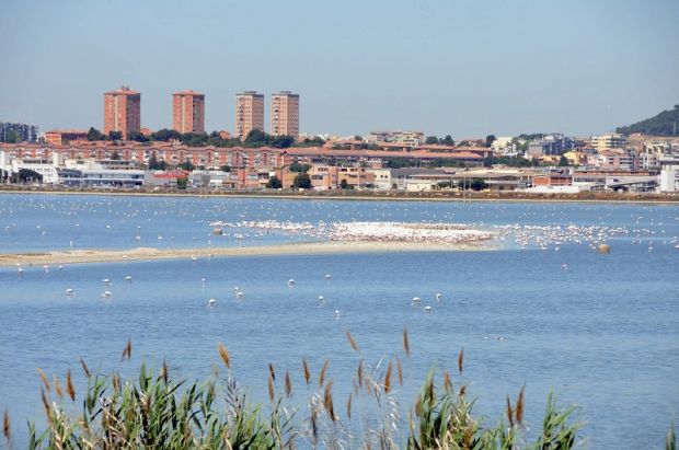 and-ldquo-pesca-e-estrazione-sale-per-salvare-molentargius-and-rdquo