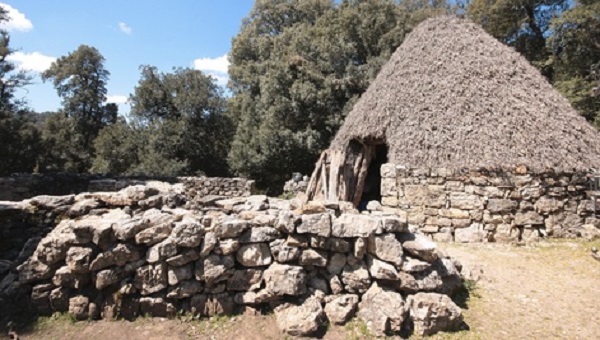 Taglio alberi con furto legna in oasi protetta taglio-alberi-con-furto-legna-in-oasi-protetta-denunciati-3-orgolesi