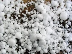 grandinata-eccezionale-a-rischio-la-vendemmia-nel-2015