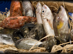 pesca-accordo-coldiretti-pi-and-ugrave-prodotti-sardi-a-tavola